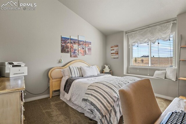 5409 Haes Haven Vw, Colorado Springs, CO 80908 - bedroom featuring baseboards, vaulted ceiling, and dark colored carpet