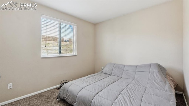 70 Audubon Dr, Colorado Springs, CO 80910 - bedroom featuring baseboards and carpet floors