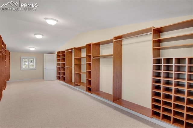 walk in closet featuring lofted ceiling and carpet flooring