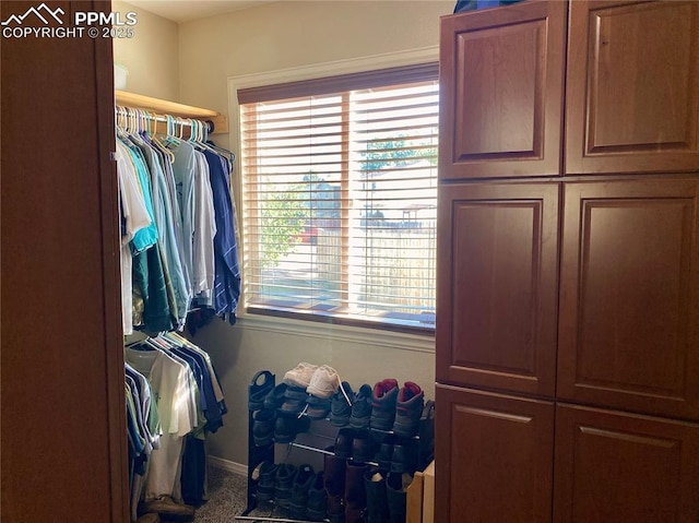 view of spacious closet