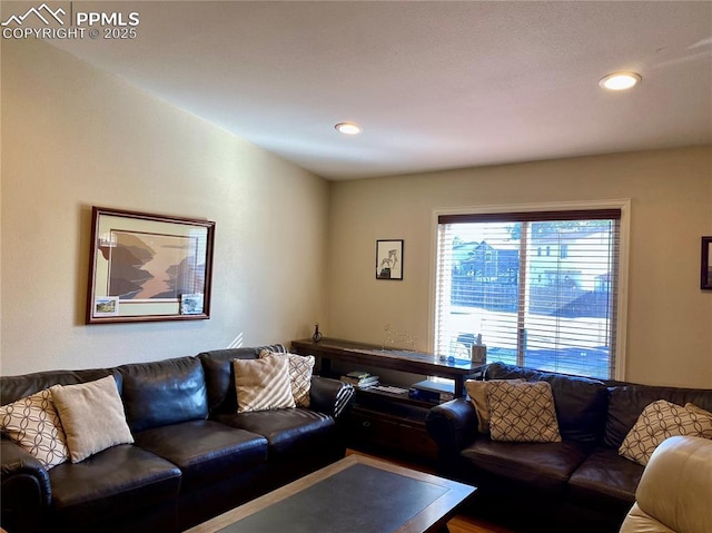 living room featuring recessed lighting