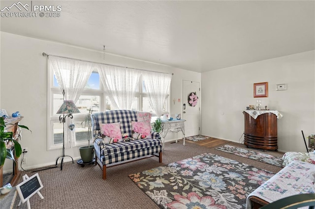 view of carpeted living area