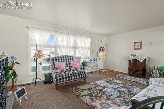 living area with baseboards and carpet flooring