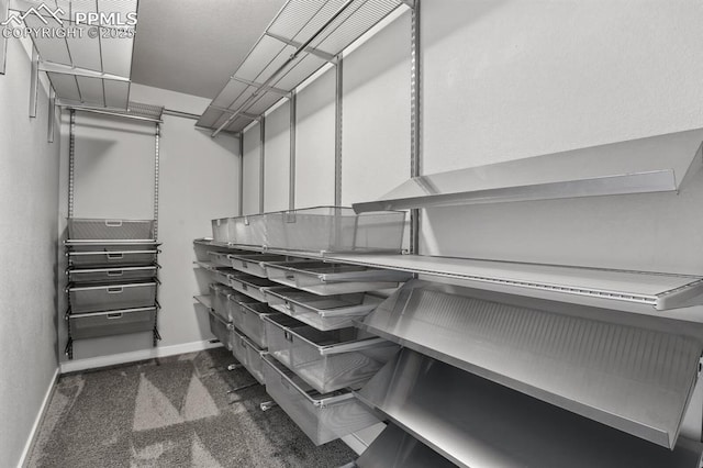 1632 Derbyshire St, Colorado Springs, CO 80910 - walk in closet with dark carpet