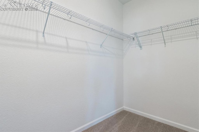2489 Vanhoutte Vw, Colorado Springs, CO 80915 - walk in closet featuring dark colored carpet