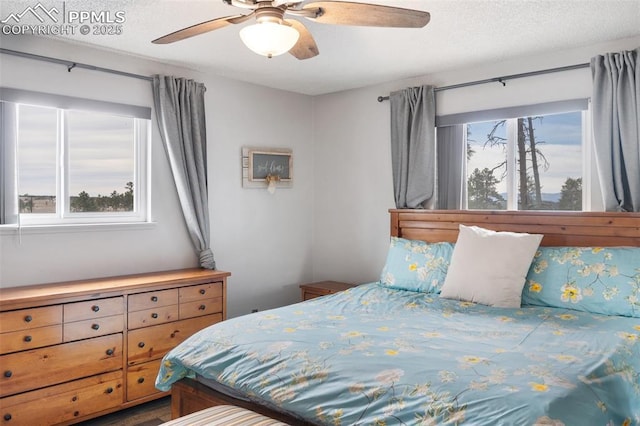 6770 Gun Club Trl, Colorado Springs, CO 80908 - bedroom with multiple windows and a ceiling fan