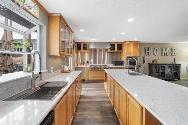 6770 Gun Club Trl, Colorado Springs, CO 80908 - kitchen with dark wood-style floors, stainless steel appliances, wall chimney exhaust hood, and a sink