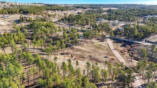 6770 Gun Club Trl, Colorado Springs, CO 80908 - bird's eye view