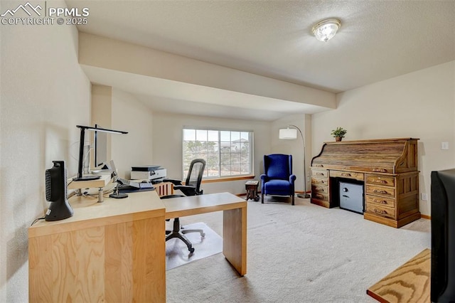 office space featuring carpet, baseboards, and a textured ceiling
