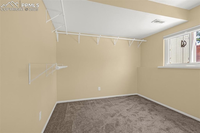 3781 Red Cedar Dr, Colorado Springs, CO 80906 - walk in closet featuring visible vents and carpet flooring