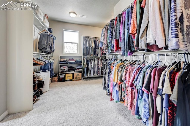 10790 Rolling Peaks Dr, Peyton, CO 80831 - spacious closet featuring carpet floors and visible vents
