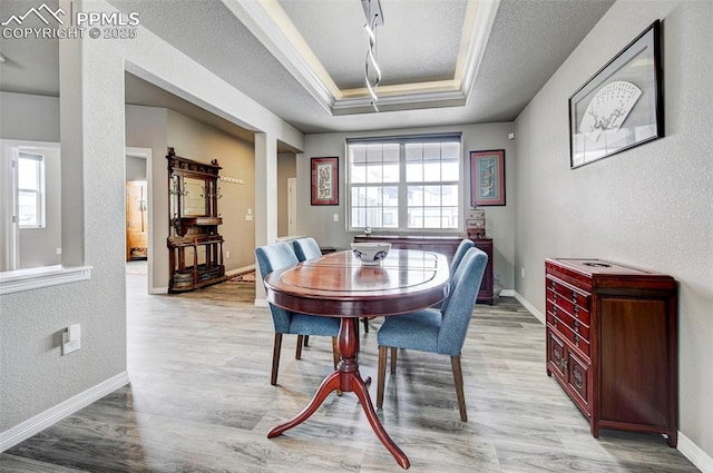10790 Rolling Peaks Dr, Peyton, CO 80831 - dining room featuring a tray ceiling, light wood-style flooring, and a healthy amount of sunlight