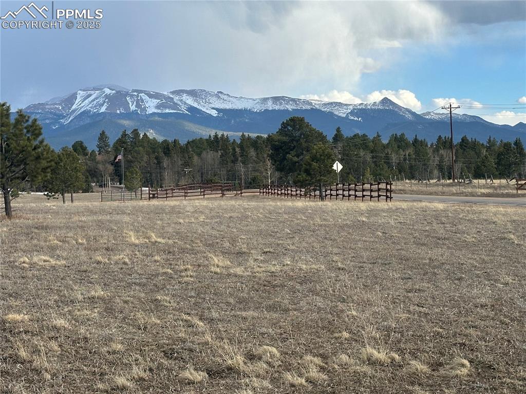 TBD S First St, Cripple Creek, CO 80863