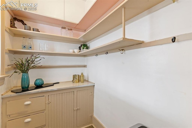 2721 W Bijou St, Colorado Springs, CO 80904 - view of spacious closet