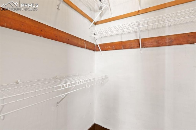2721 W Bijou St, Colorado Springs, CO 80904 - view of spacious closet