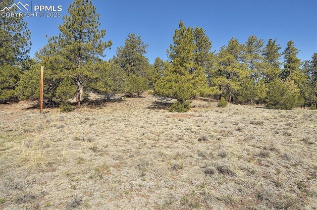 5581 County Road 328, Westcliffe, CO 81252 - view of nature