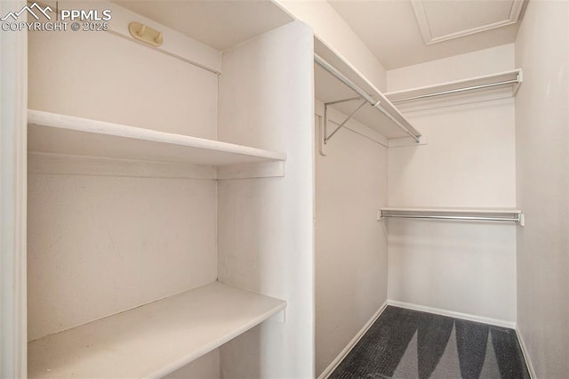 3272 Capstan Way, Colorado Springs, CO 80906 - walk in closet with carpet