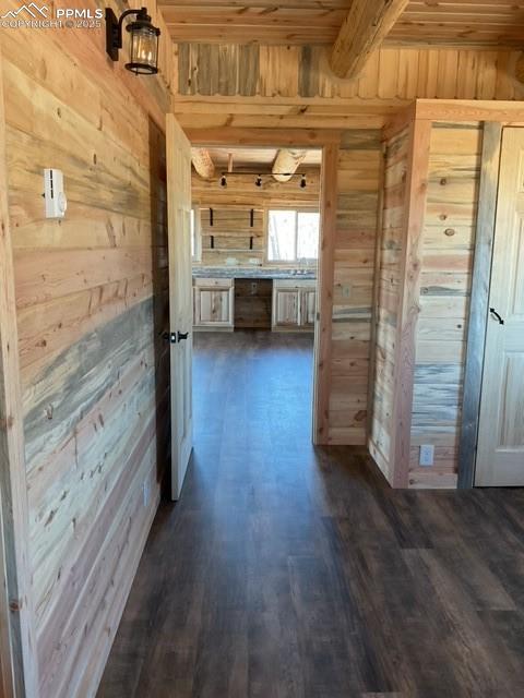 1906 Korlkoff Ln, Fort Garland, CO 81133 - hall featuring dark wood finished floors, wooden ceiling, and wooden walls