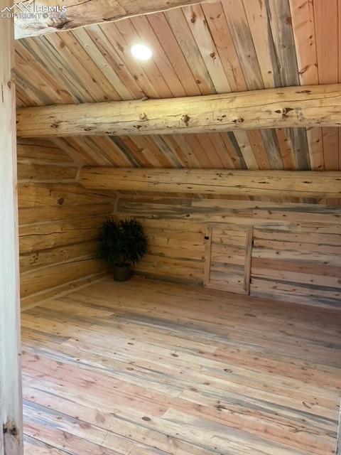 1906 Korlkoff Ln, Fort Garland, CO 81133 - bonus room featuring a sauna, light wood-type flooring, wooden walls, and wood ceiling