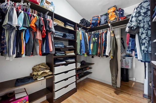 walk in closet featuring wood finished floors