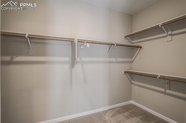 1341 Solitaire St, Colorado Springs, CO 80905 - spacious closet with carpet floors