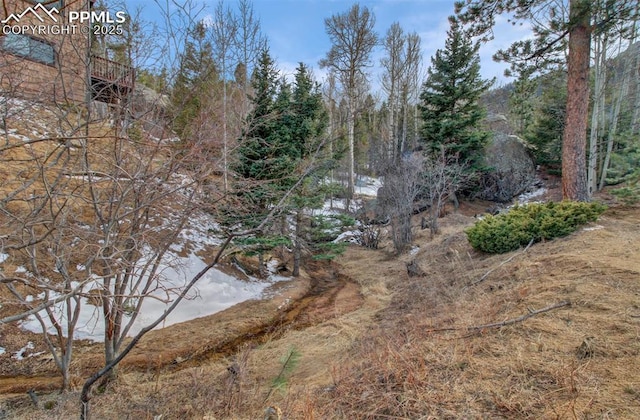 5865 Waterfall Loop, Manitou Springs, CO 80829 - exterior space featuring a wooded view