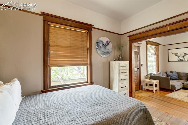 bedroom featuring light wood-type flooring