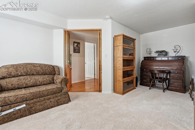 13255 Woodlake Rd, Elbert, CO 80106 - sitting room with carpet