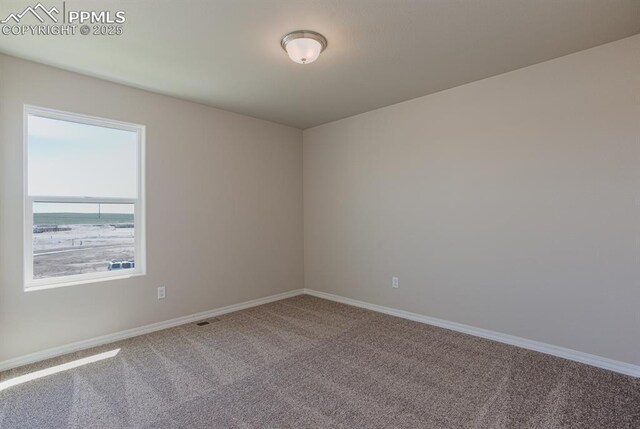 5229 Devers Ct, Colorado Springs, CO 80925 - unfurnished room with carpet and baseboards