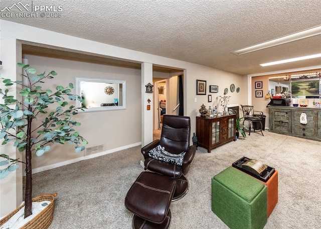 2914 Del Mar Cir, Colorado Springs, CO 80910 - living area with carpet and a textured ceiling