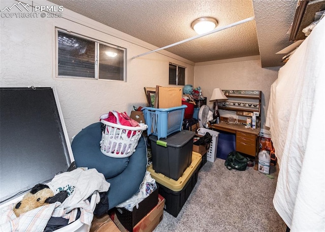 2914 Del Mar Cir, Colorado Springs, CO 80910 - view of storage area