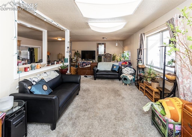 2914 Del Mar Cir, Colorado Springs, CO 80910 - carpeted living area featuring a textured ceiling