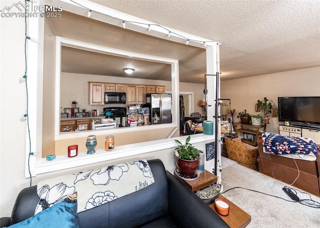 2914 Del Mar Cir, Colorado Springs, CO 80910 - living room featuring a textured ceiling
