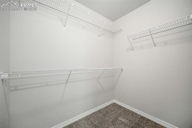 7718 Benecia Dr, Fountain, CO 80817 - spacious closet with carpet floors