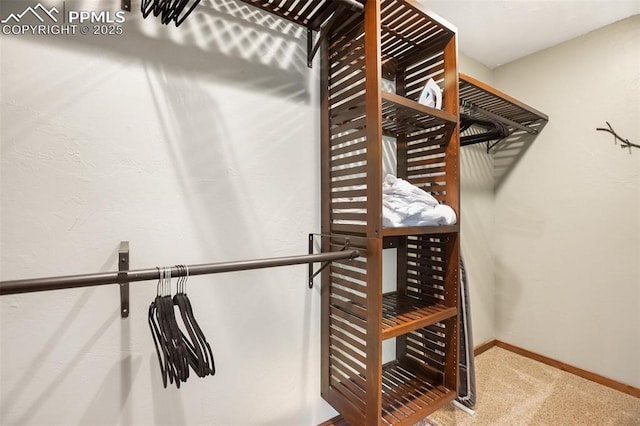 walk in closet with carpet floors