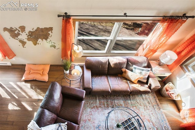 living room with a baseboard radiator and hardwood / wood-style floors