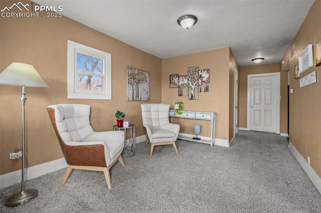 224 W Mill St, Colorado Springs, CO 80903 - sitting room featuring baseboards, a textured wall, carpet, and a textured ceiling