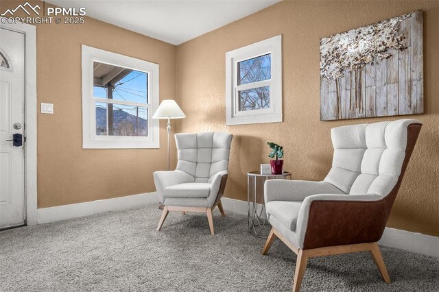 224 W Mill St, Colorado Springs, CO 80903 - living area with carpet flooring, a textured wall, and baseboards