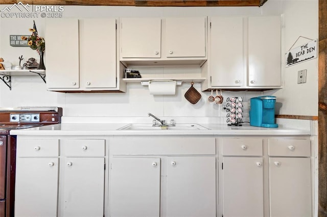 kitchen with a sink, light countertops, open shelves, and range