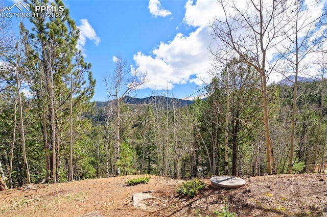 property view of mountains with a view of trees