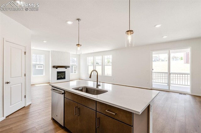 1821 Water Birch Way, Castle Rock, CO 80108 - kitchen with light countertops, a sink, stainless steel dishwasher, open floor plan, and light wood-style flooring
