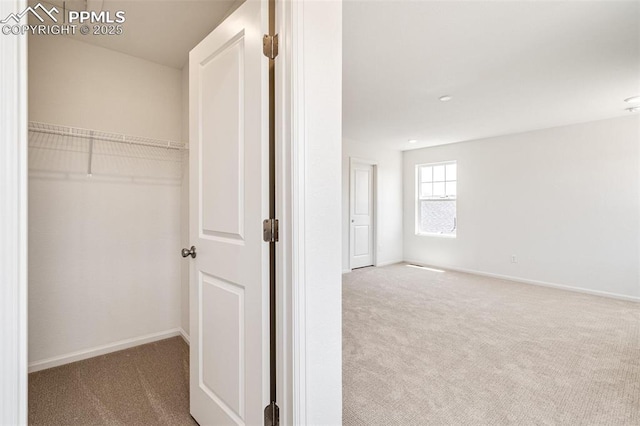 1821 Water Birch Way, Castle Rock, CO 80108 - view of closet
