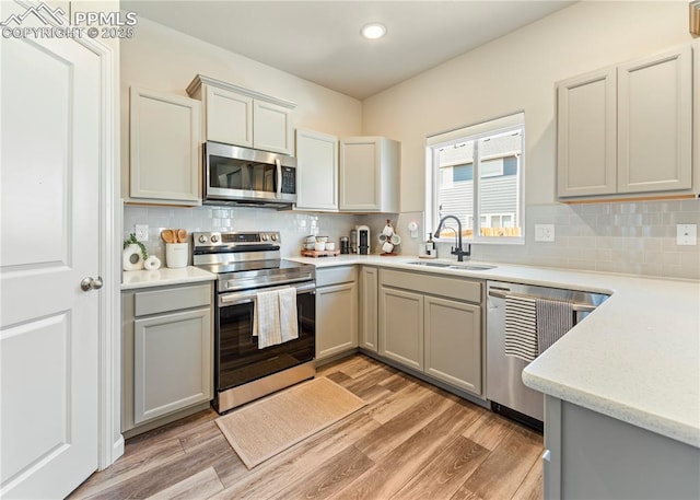 kitchen featuring light wood finished floors, stainless steel appliances, tasteful backsplash, a sink, and gray cabinetry