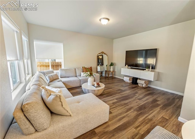 living room with baseboards and wood finished floors
