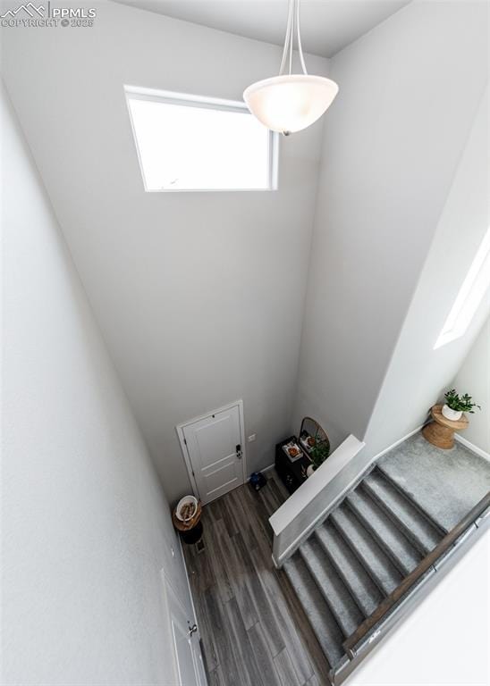 stairs with wood finished floors