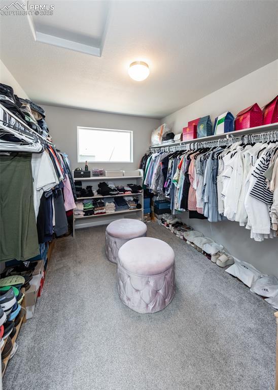 spacious closet with carpet flooring
