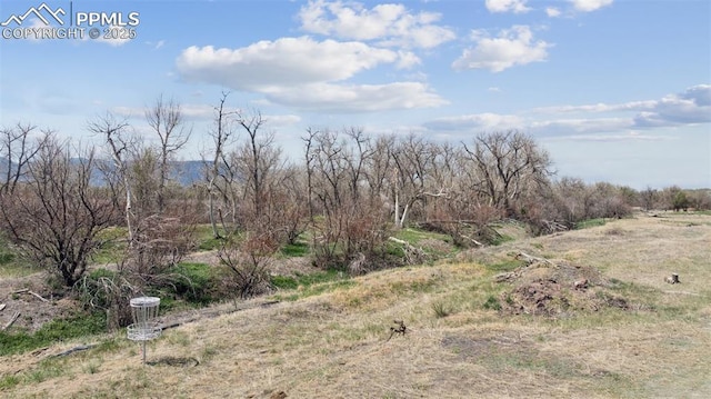 10713 Traders Pkwy, Fountain, CO 80817 - view of local wilderness