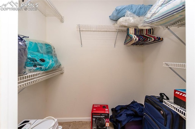 spacious closet with carpet