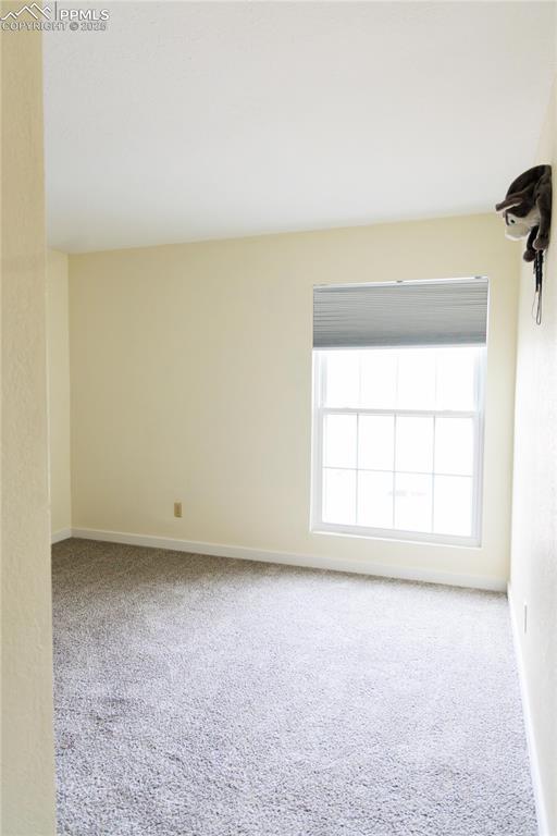 carpeted empty room featuring baseboards