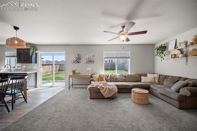 living area featuring a healthy amount of sunlight, a ceiling fan, and light wood finished floors